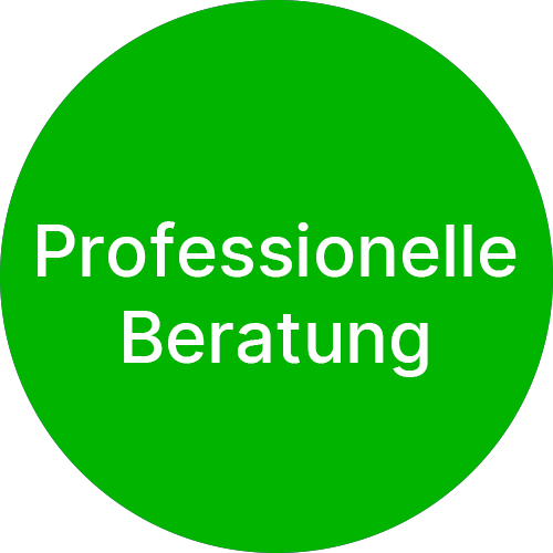 professionelle beratung