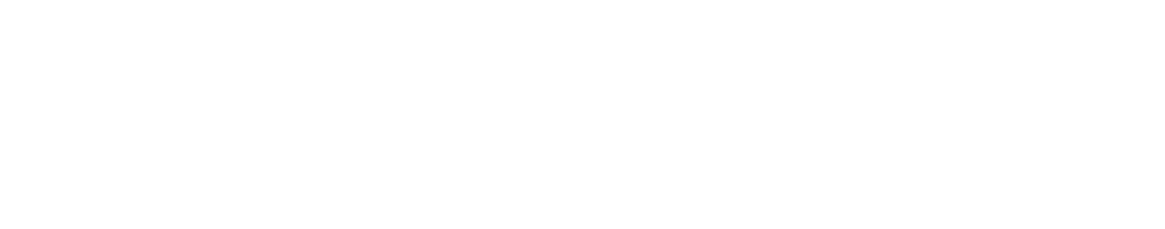 flip sk logo w transp